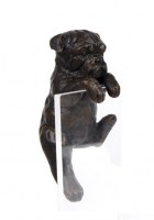 010281 buldog